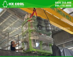 Quá trình lắp đặt máy làm đá viên 1 tấn ICE COOL tại Ninh Thuận