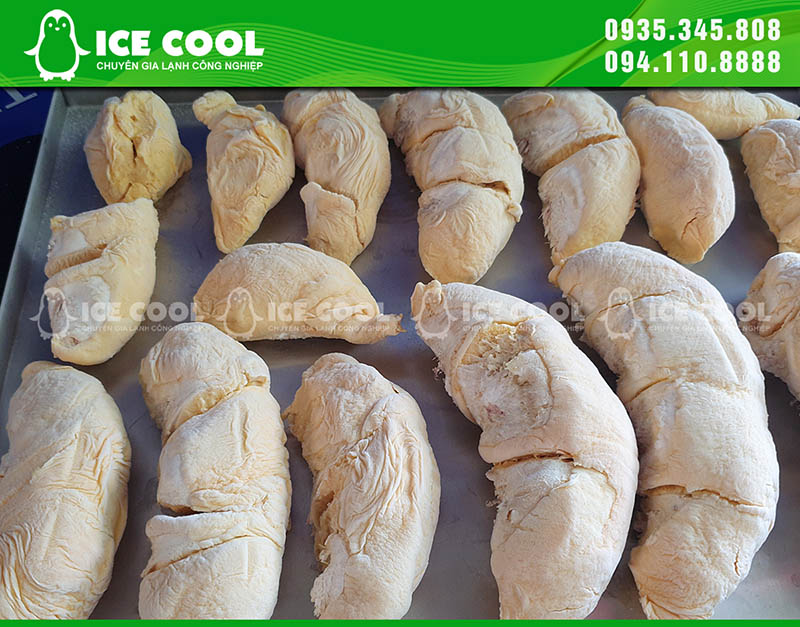 Cơm sầu riêng cấp đông là giải pháp hiệu quả giúp bảo quản hương vị tươi ngon và giá trị dinh dưỡng của sầu riêng trong thời gian dài